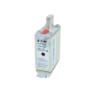 Fusible Ultrarapido 160AMP. 690V